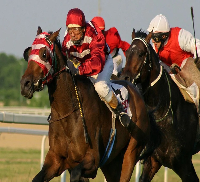 Tìm Hiểu Về Đua Ngựa PK14: Cá Cược Thể Thao Hiện Đại 2 Tìm Hiểu Về Đua Ngựa PK14: Cá Cược Thể Thao Hiện Đại